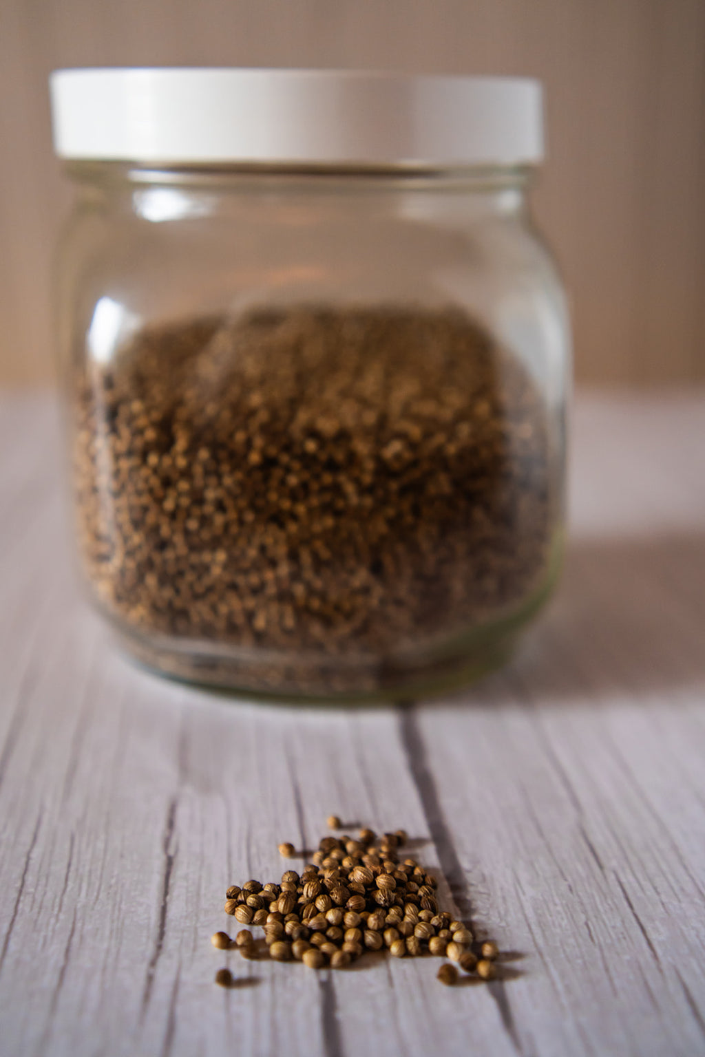 Coriander Seed, Whole organic image 2
