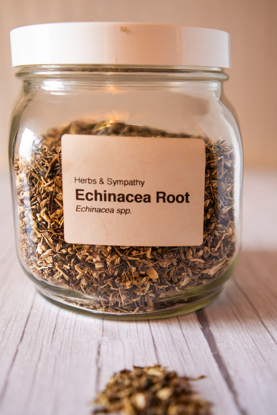 Echinacea Root, organic image 0