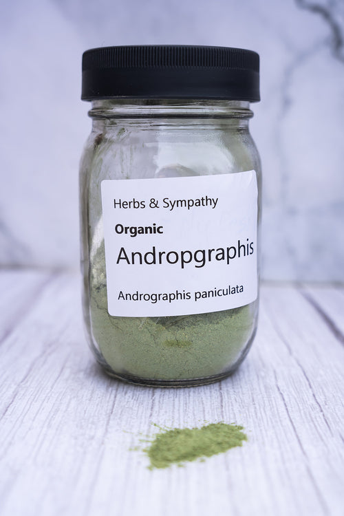 Andrographis, powdered image 0