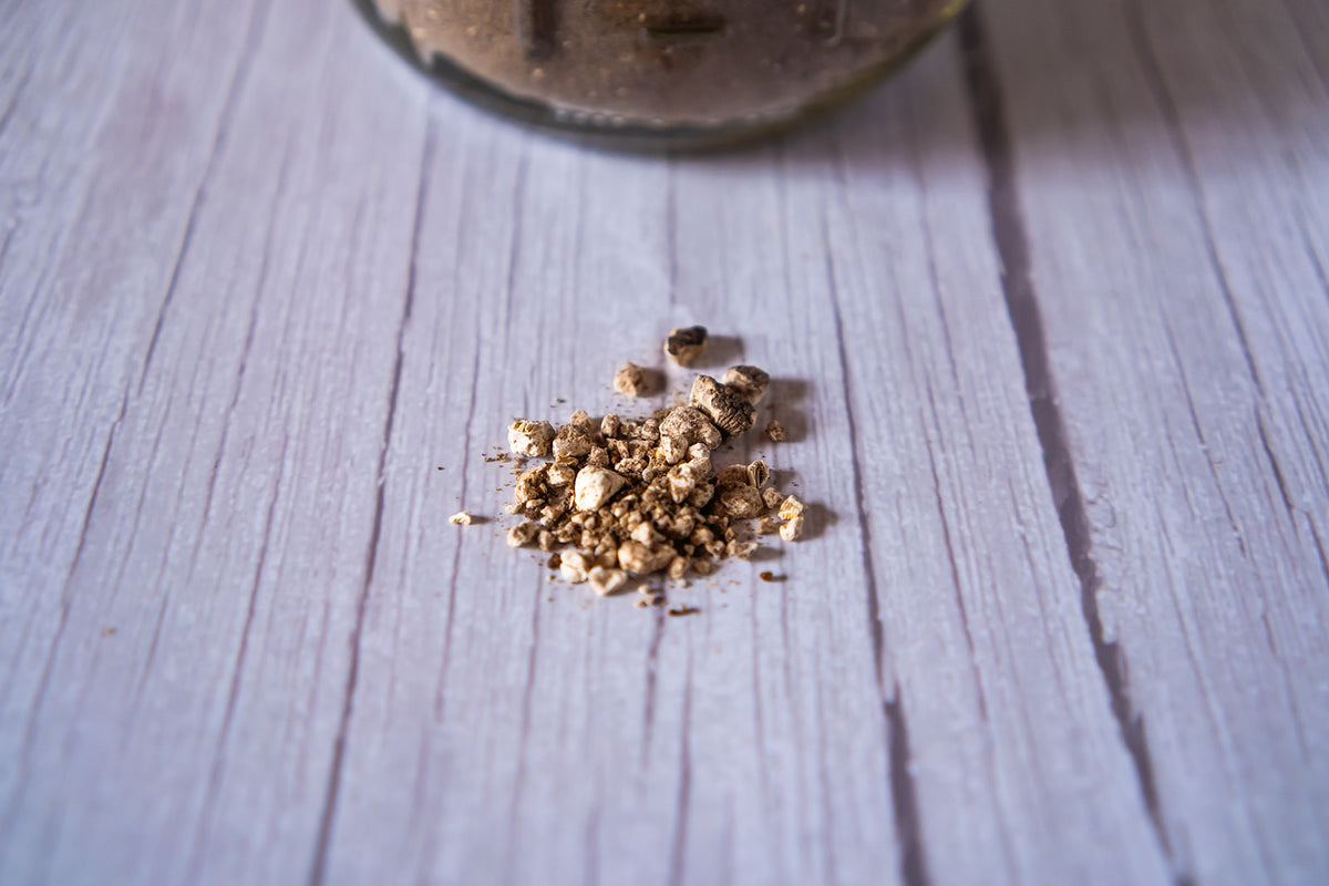 Mushroom Coffee Blend image 1