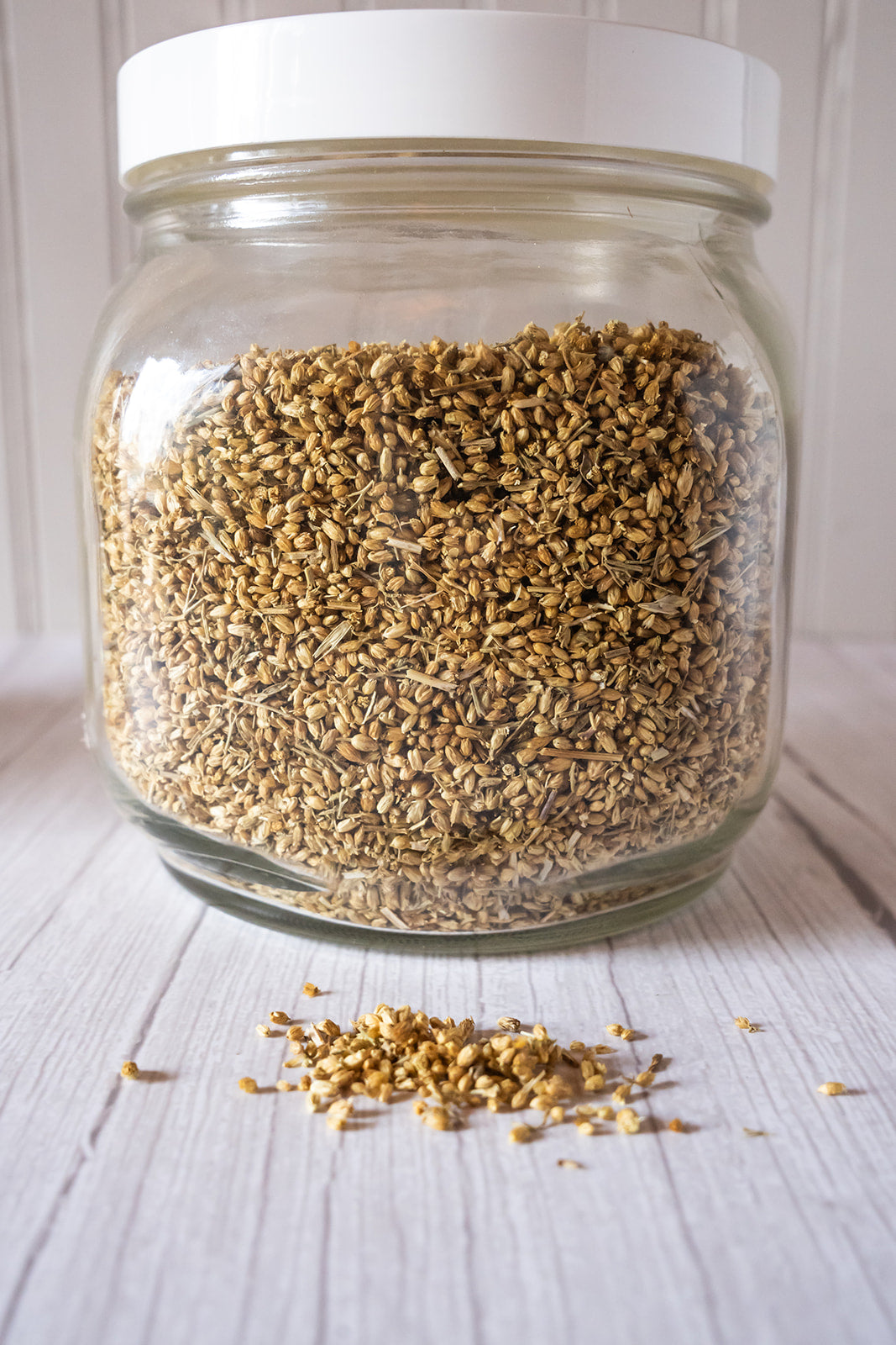 Yarrow, organic image 1