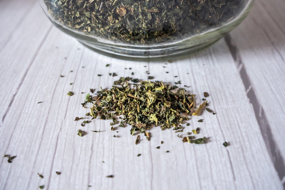 Stinging Nettle, organic image 1