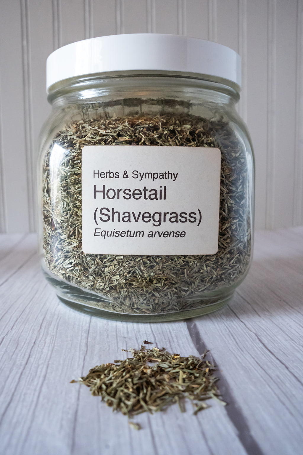 Horsetail, shave grass, organic image 0