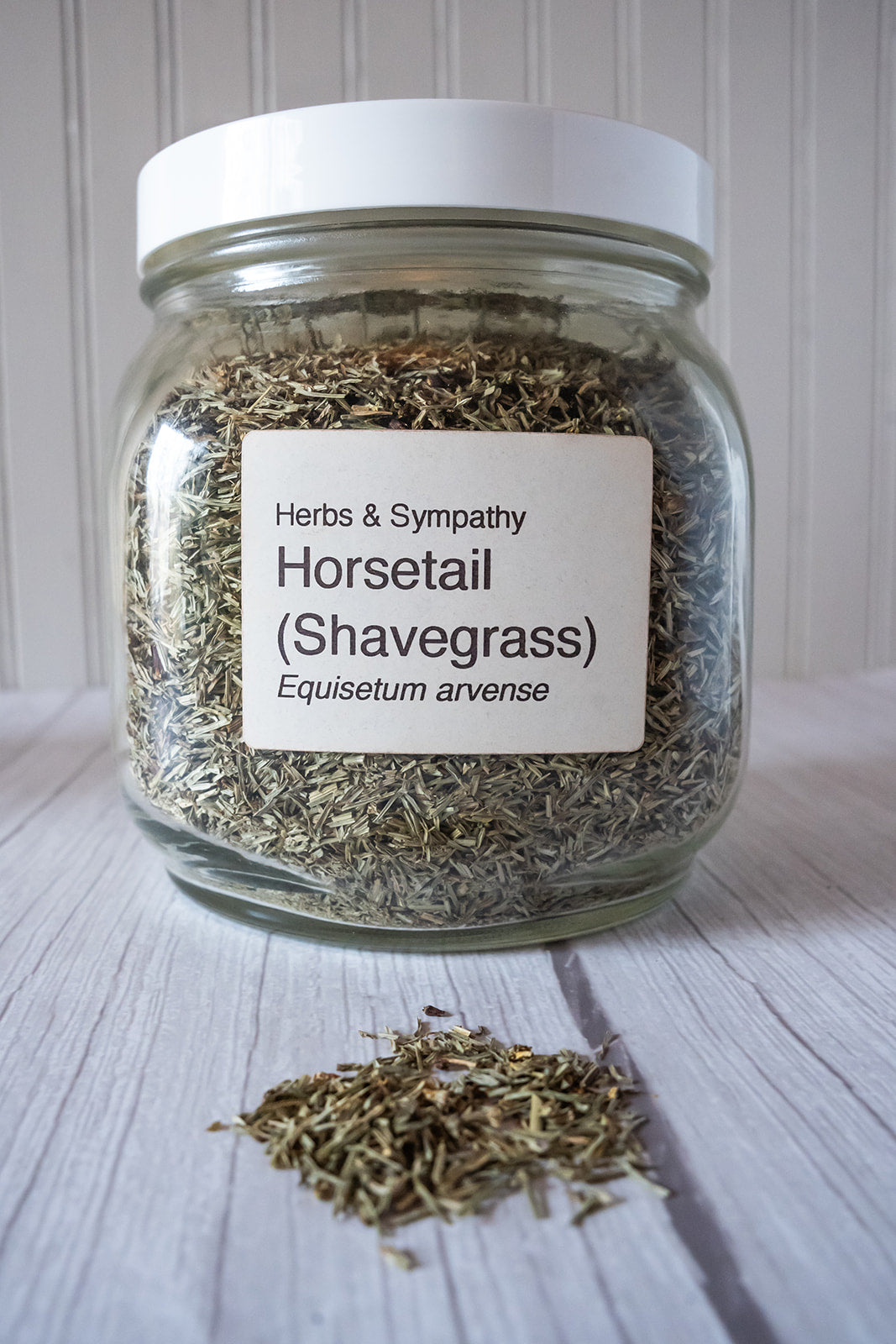 Horsetail, shave grass, organic image 0