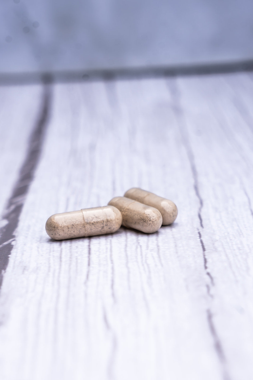 Slippery Elm Capsules image 3