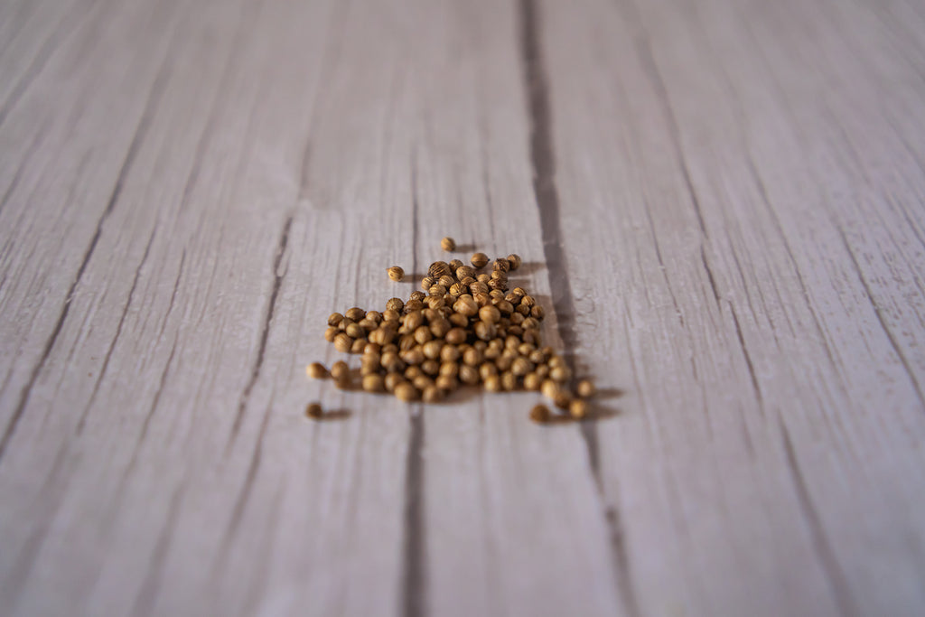 Coriander Seed, Whole organic image 3