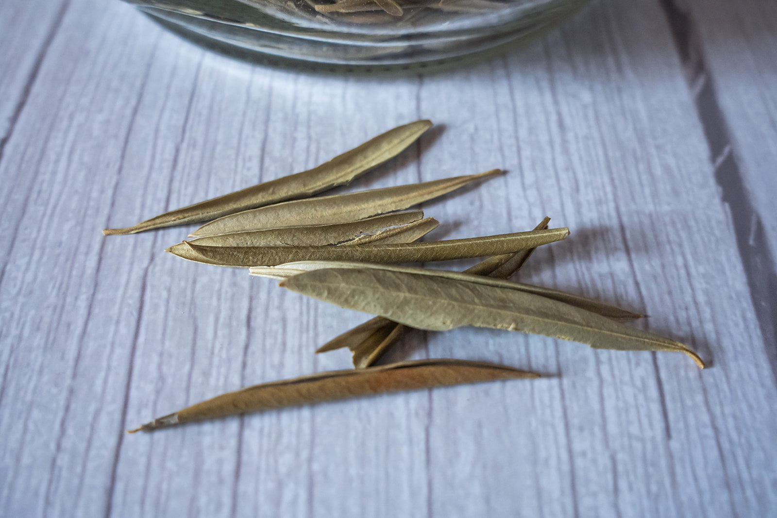 Olive Leaf, organic image 2