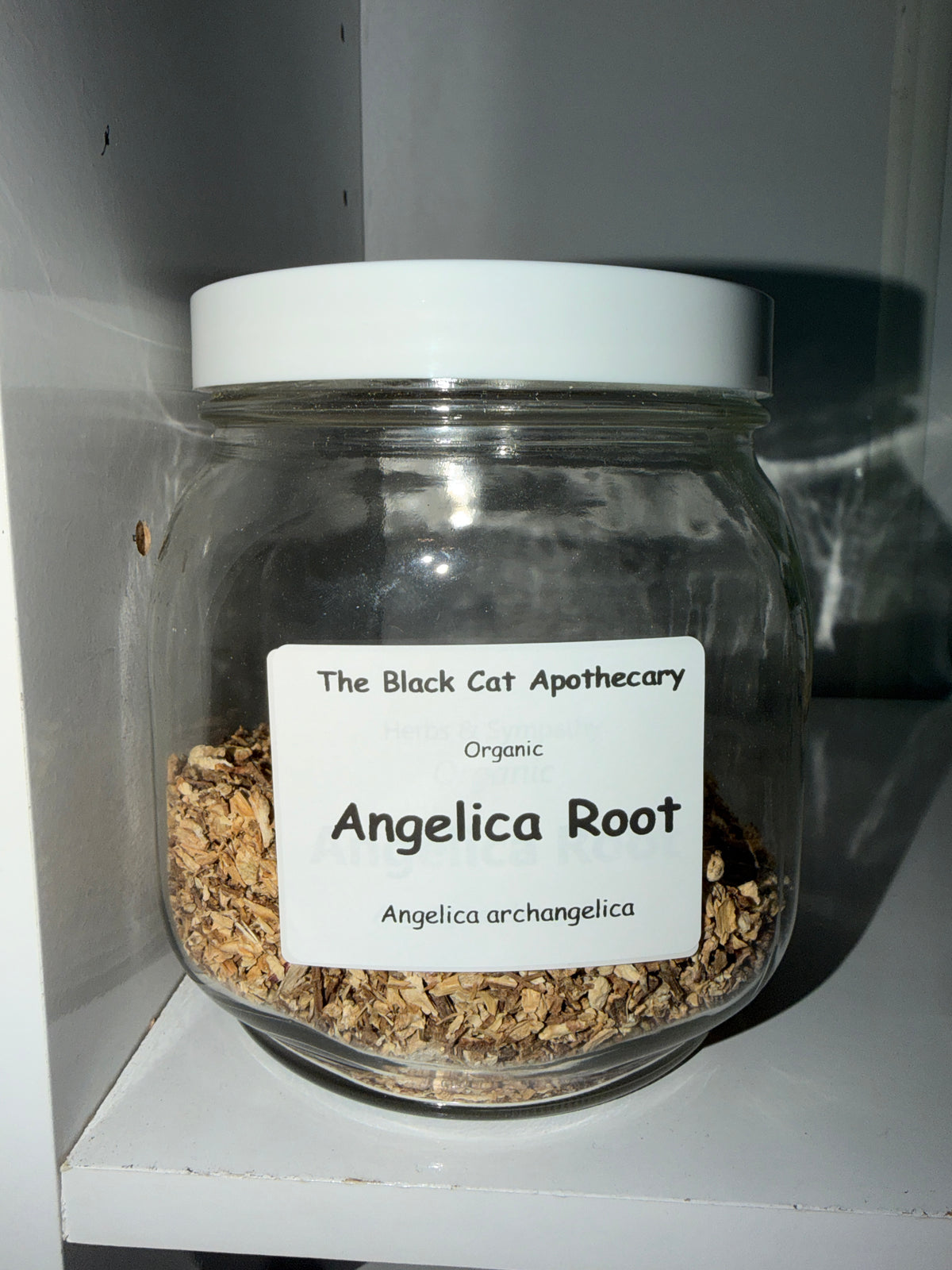 Angelica Root, organic