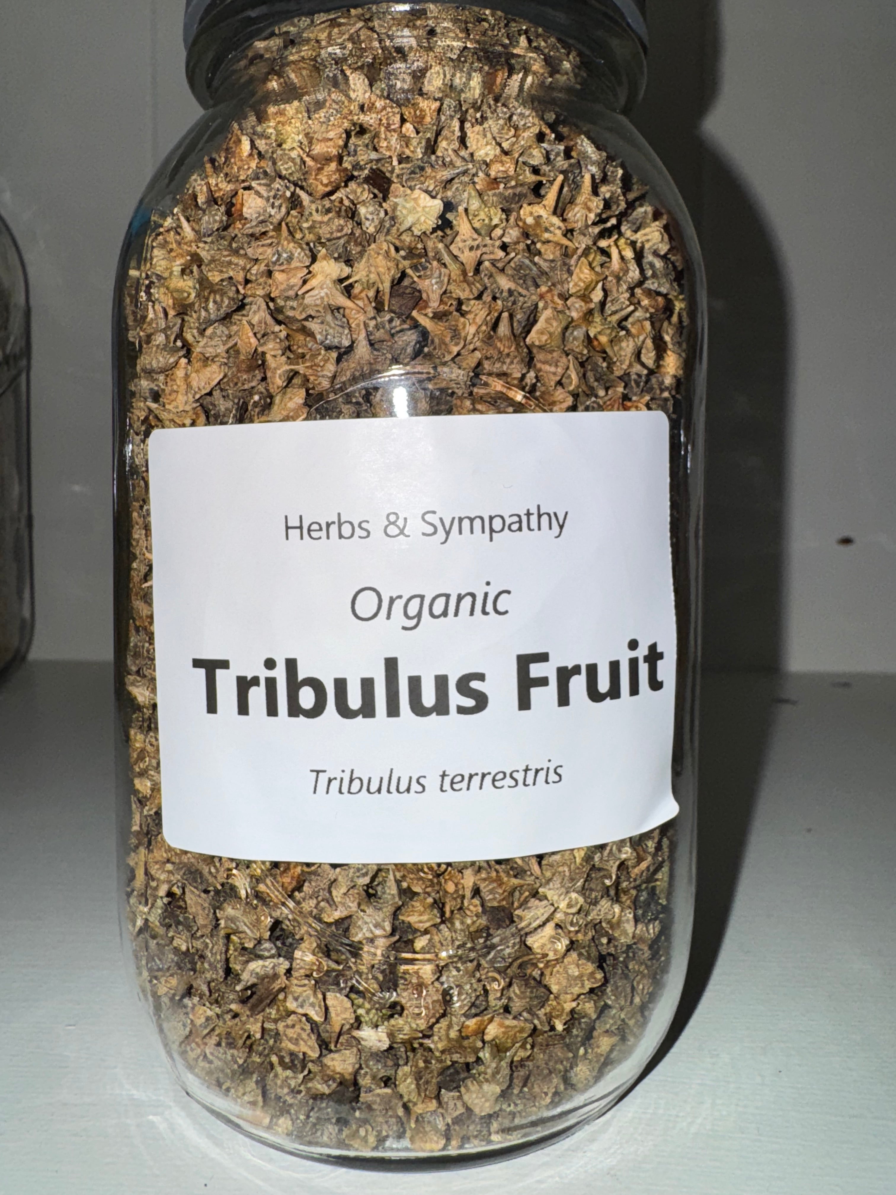 Tribulus Fruit, organic image 0