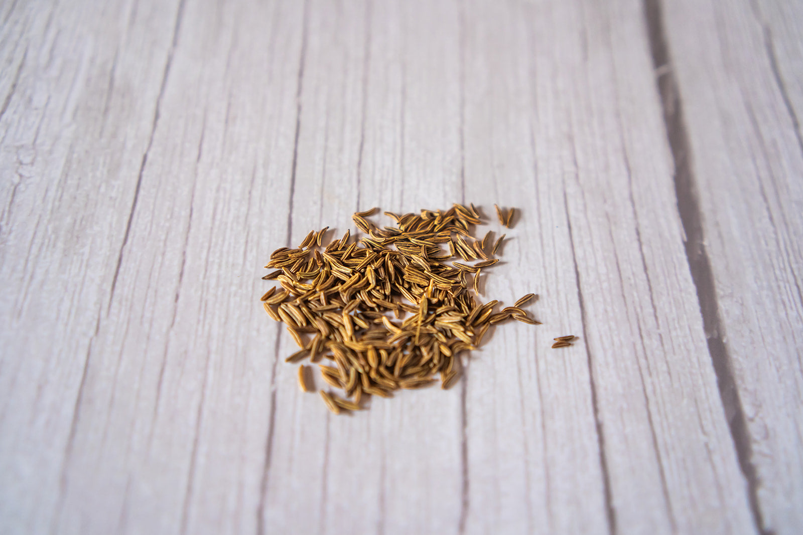 Caraway Seed, organic image 2