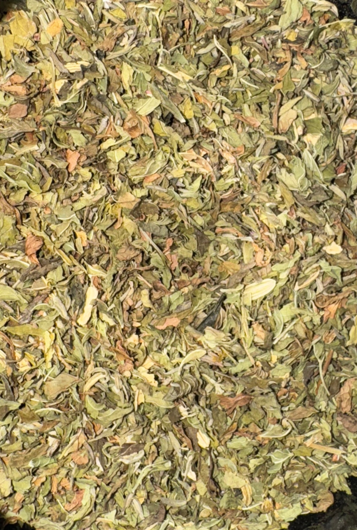 Hangover Tea, organic image 1