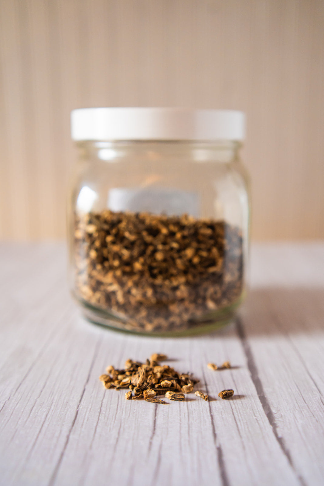 Angelica Root, organic image 3