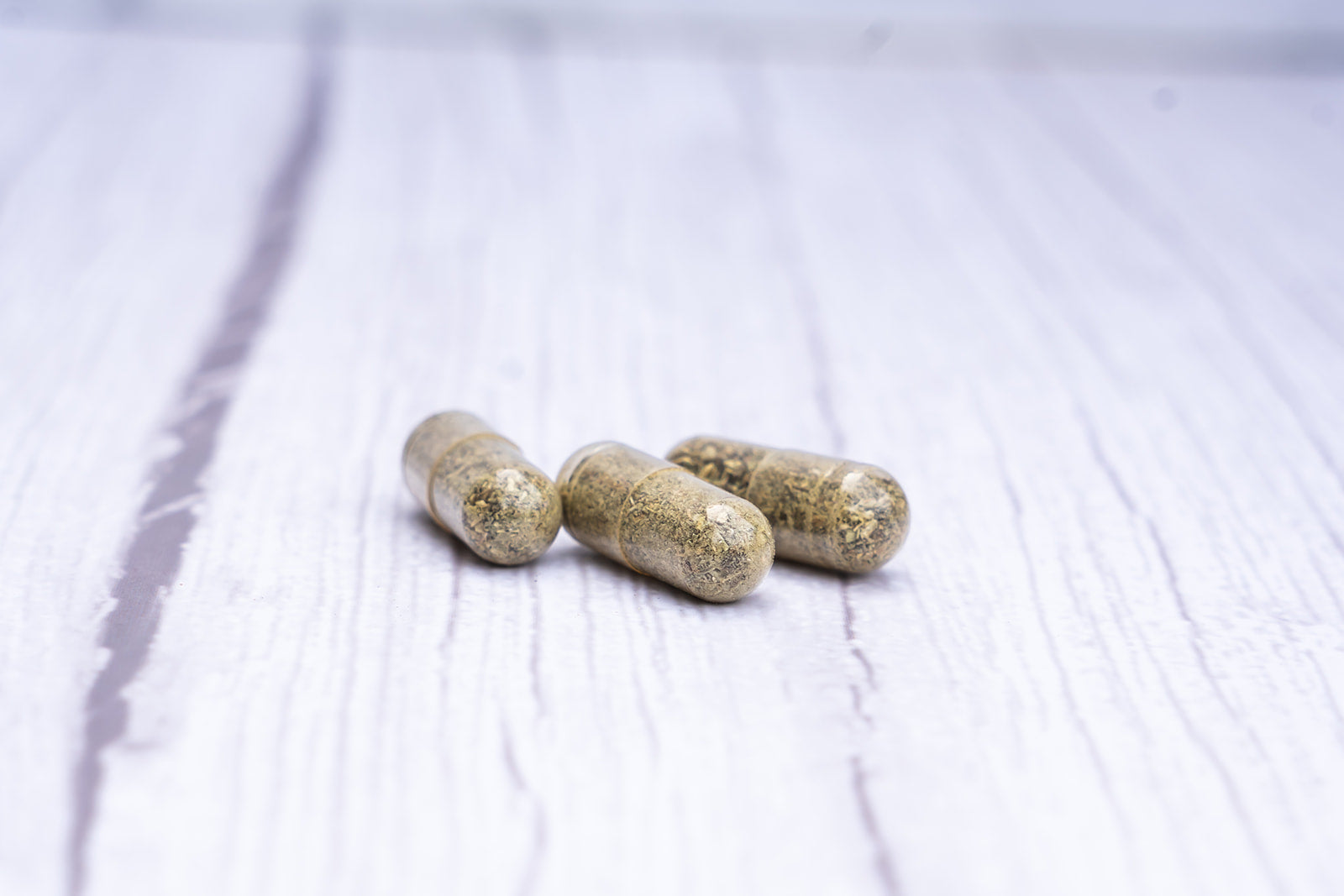 Echinacea Capsules image 3