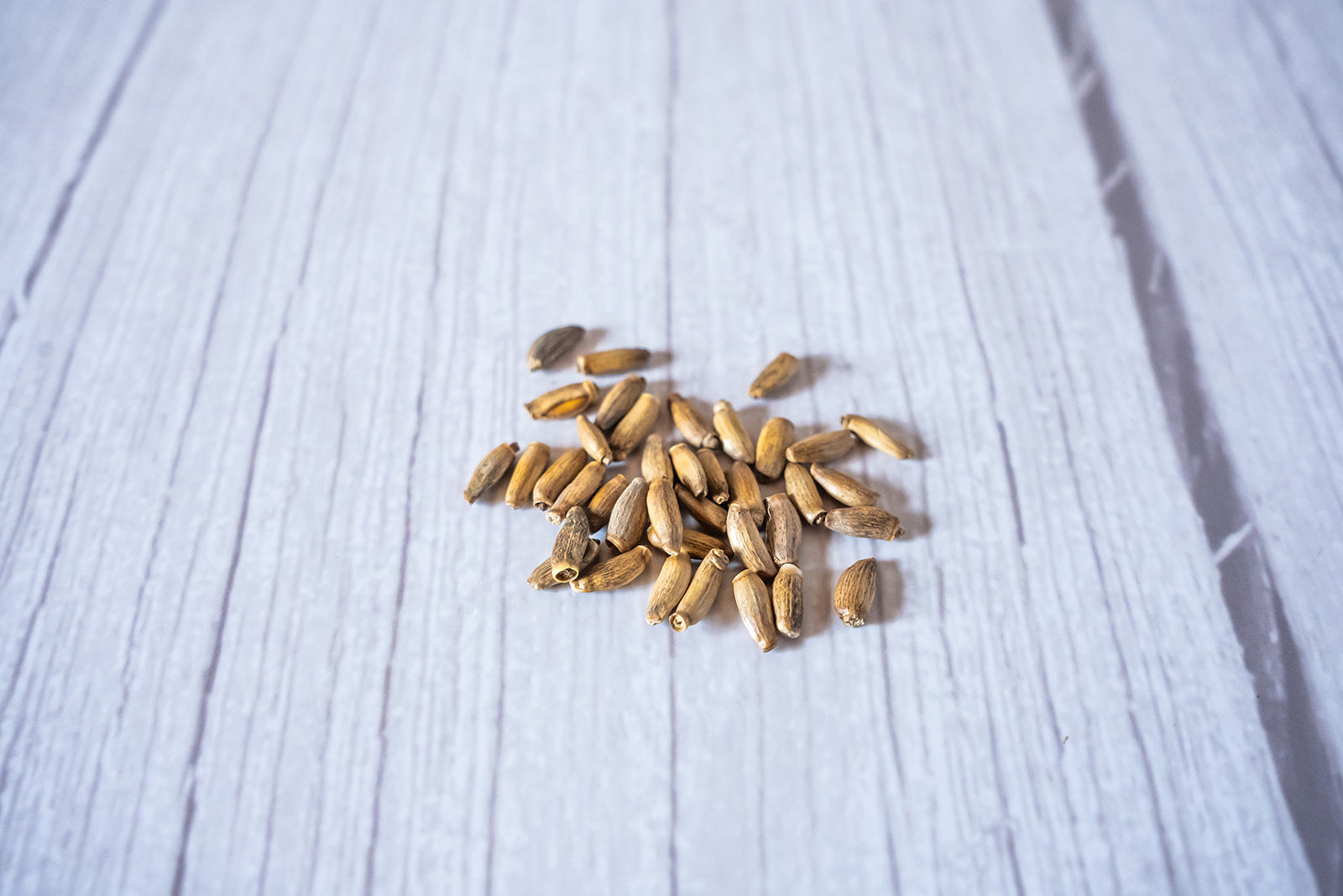 Milk Thistle Seed Whole, organic image 2