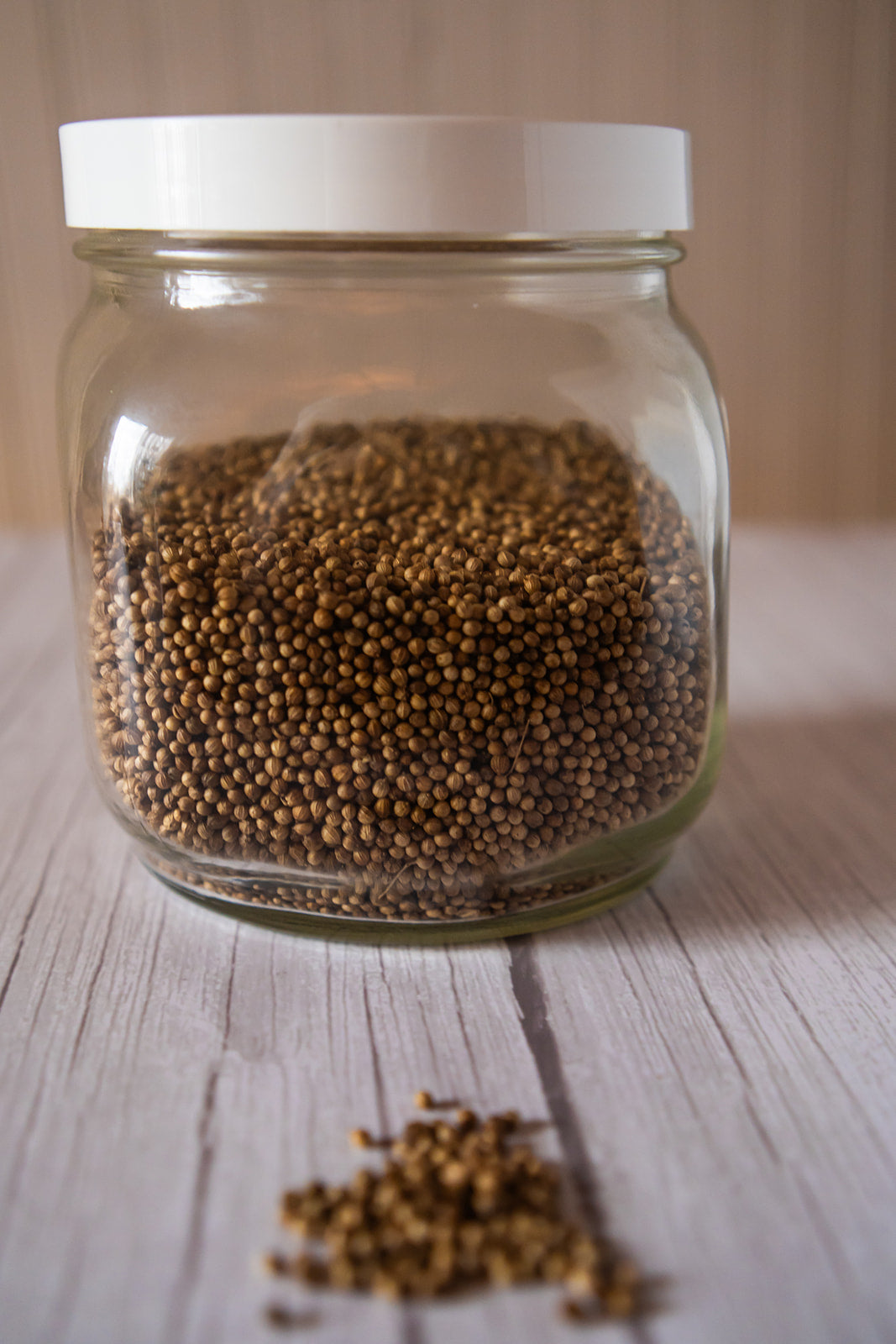Coriander Seed, Whole organic image 1