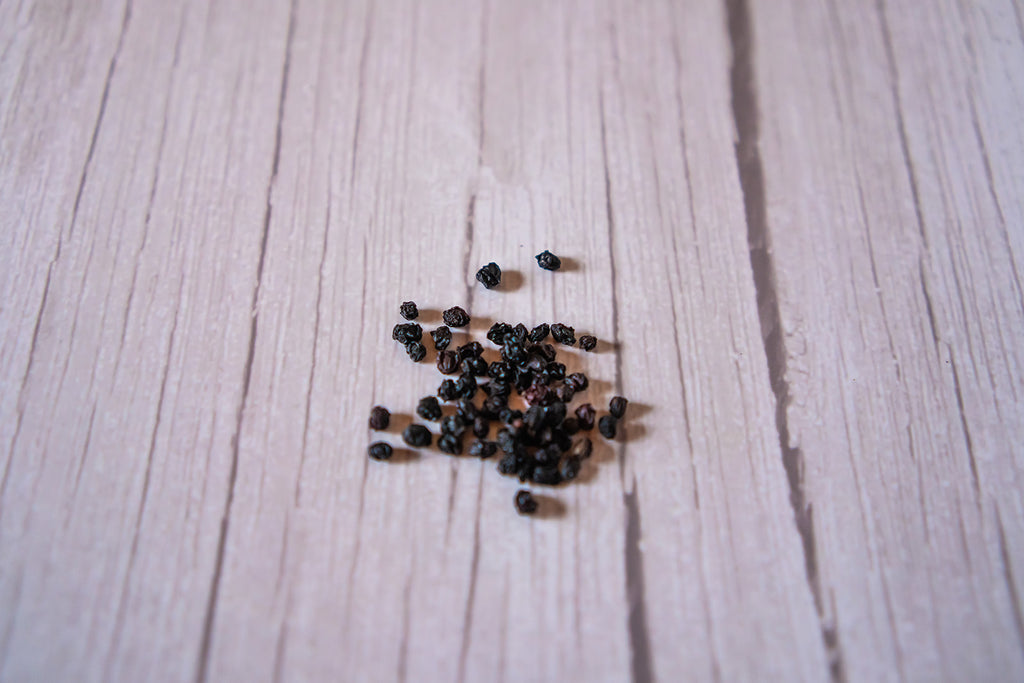 Elderberries, organic image 1