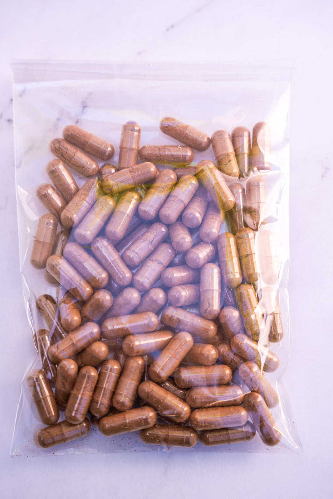 Willow Bark Capsules image 1