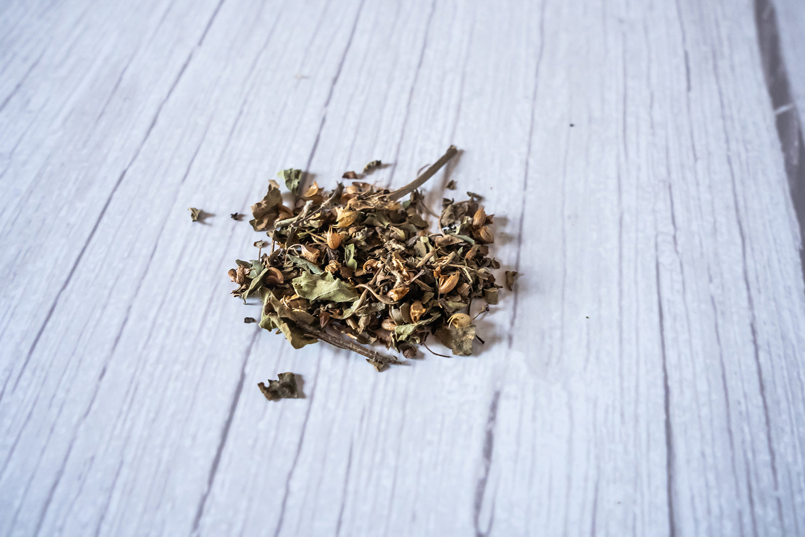 Holy Basil, Rama, organic image 2